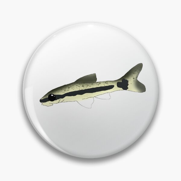Item preview, Otocinclus designed and sold by Moopichino.