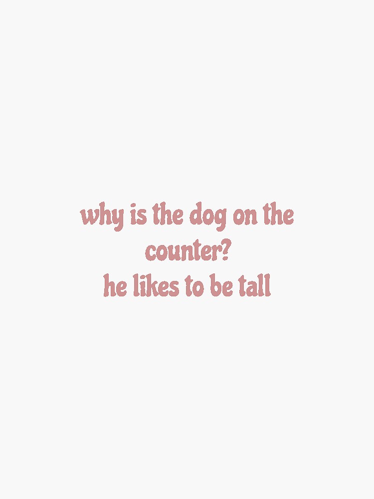 "that 70s show, why is the dog on the counter? he likes to be tall