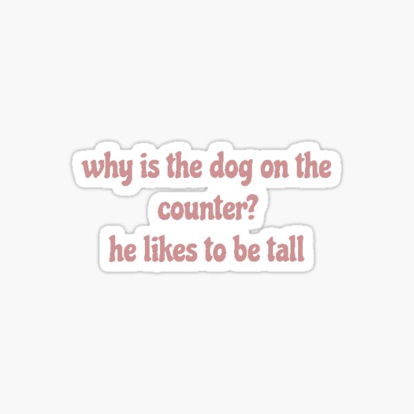 "that 70s show, why is the dog on the counter? he likes to be tall