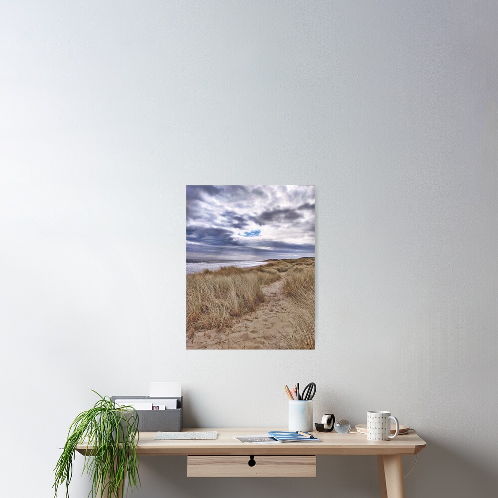 Item preview, Poster designed and sold by Evcha.