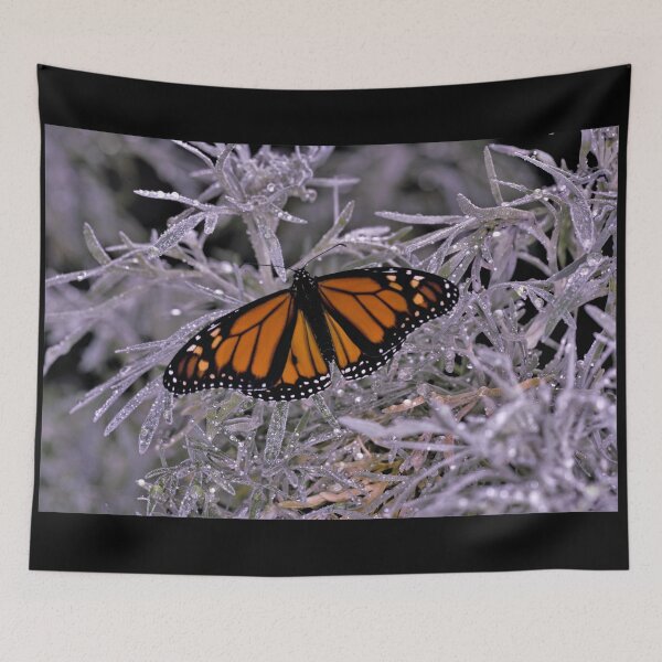 Item preview, Monarch Butterfly after the Sun Shower designed and sold by imaginethis.