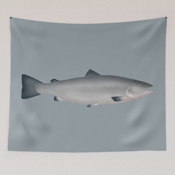 Item preview, Atlantic Salmon - Ocean Phase designed and sold by fishfolkart.