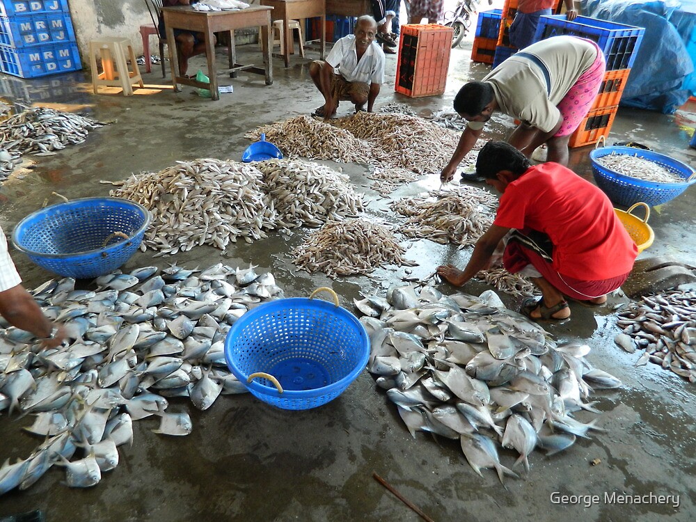 fish-market-kerala-india-by-george-menachery-redbubble