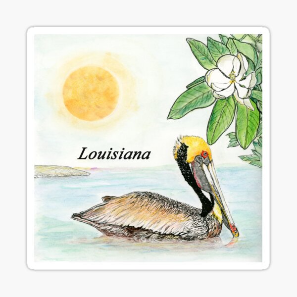 Louisiana State Bird and Flower Sticker