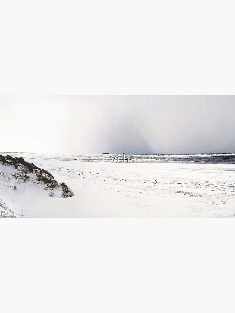 Snowy Coast by Evcha