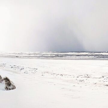 Artwork thumbnail, Snowy Coast by Evcha