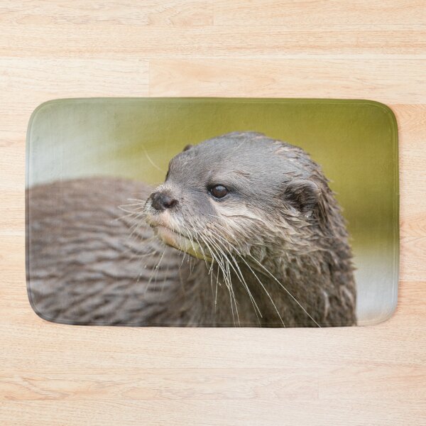 Artikelvorschau, Otter schaut hinter ihn entworfen und verkauft von rawshutterbug.