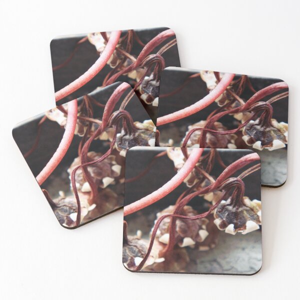 Item preview, Pretty Dried Flower  designed and sold by Mimi Huang.