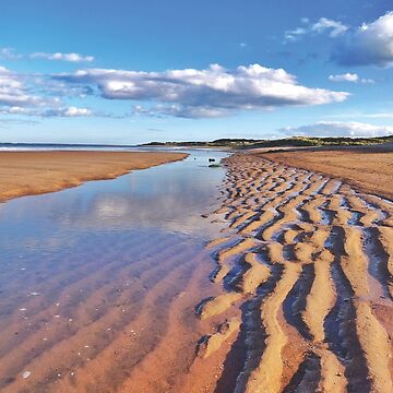 Artwork thumbnail, Sand ripples  by Evcha