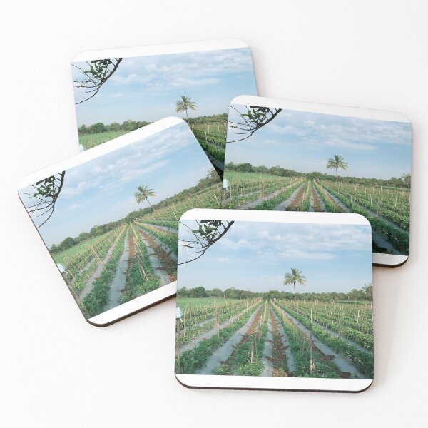 Item preview, Morning Farm designed and sold by Vikas Sawant.