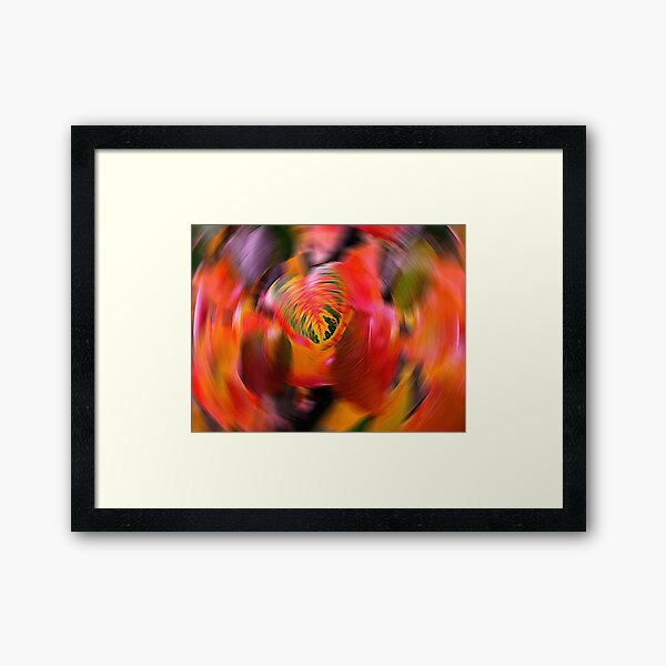 Autumn Spiral Framed Art Print