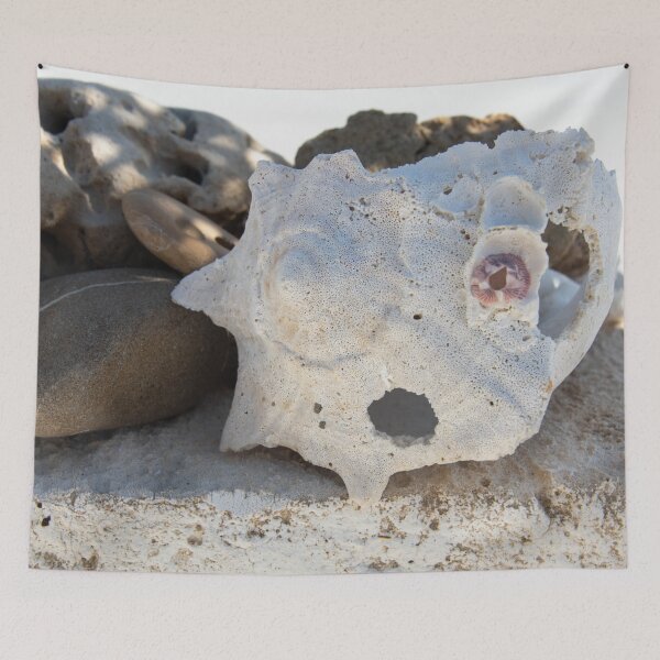 Item preview, Elemental Seashell } designed and sold by Elena Ray.