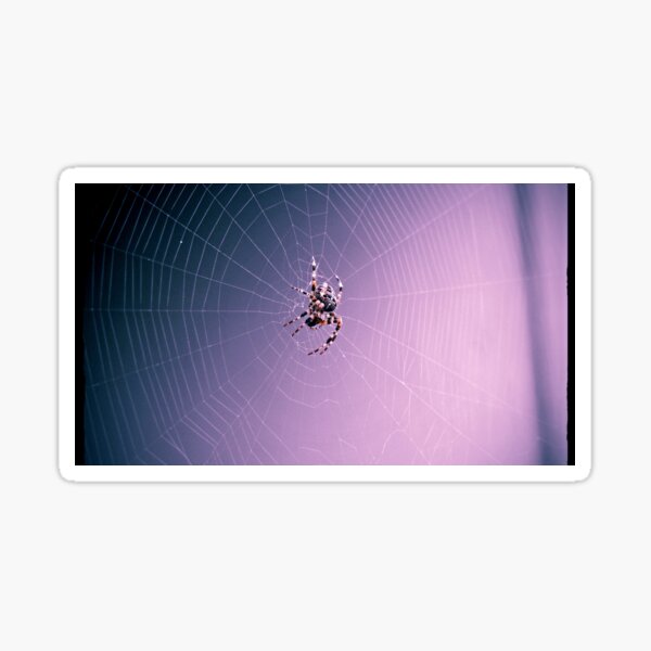 Orb Weaver Sticker