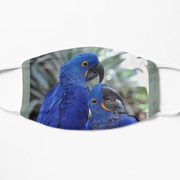 Blue Parrots Flat Mask