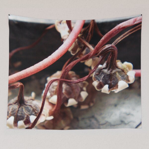 Item preview, Pretty Dried Flower  designed and sold by Mimi Huang.