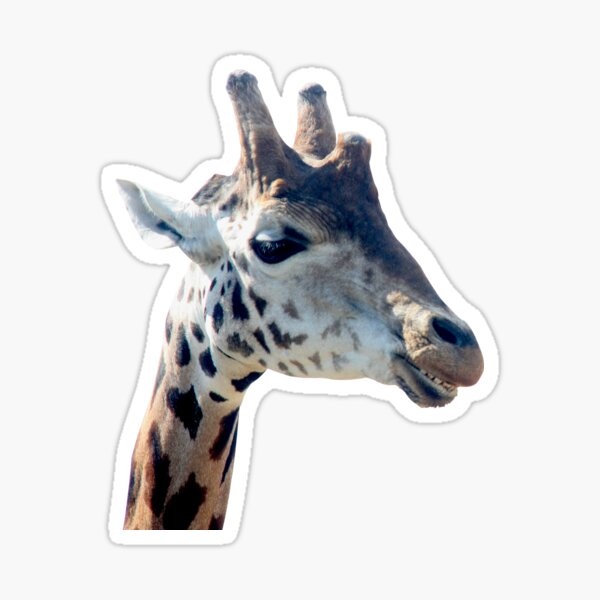 Produits Sur Le Theme Girafe Sourire Redbubble