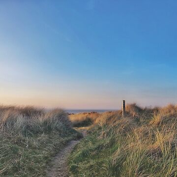 Artwork thumbnail, Coastal path by Evcha