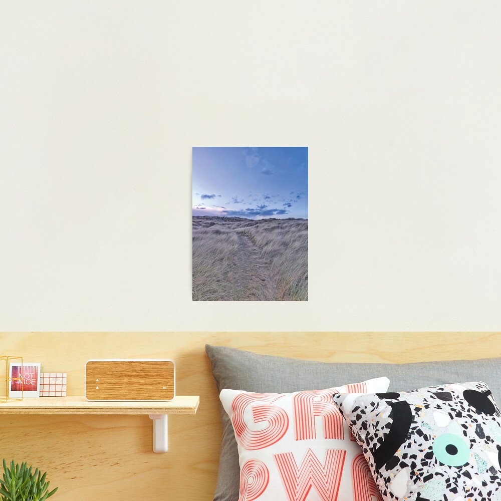 Purple and grey dunes Photographic Print