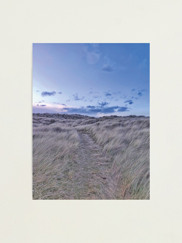 Alternate view of Purple and grey dunes Photographic Print