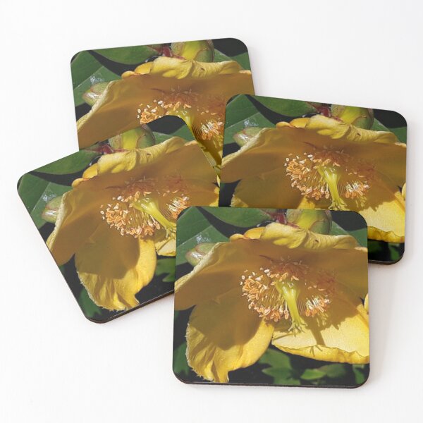 Item preview, Yellow Wild Flower designed and sold by craftsbydaphy.