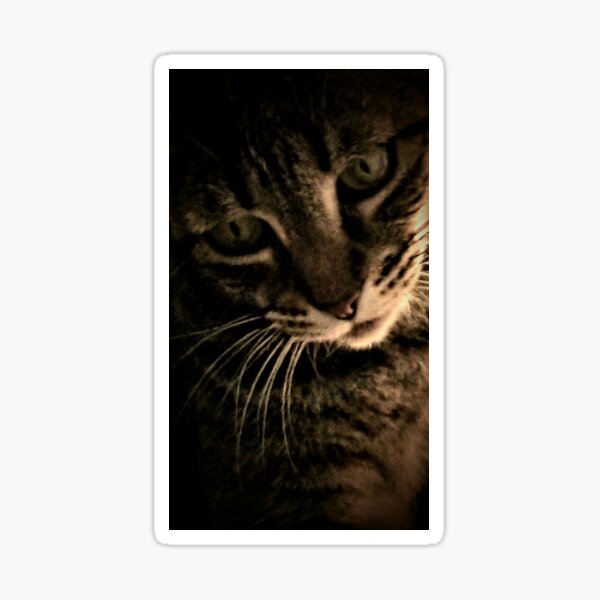 Pensive Tiger Sticker