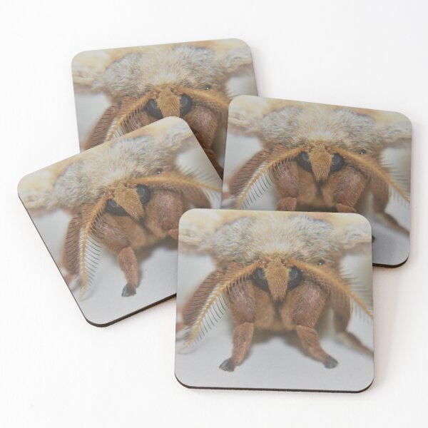 Item preview, Texas Moth Staredown designed and sold by themuseinspired.