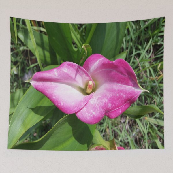 Item preview, Pink Summer Calla Lily designed and sold by After 10 POD Designs.