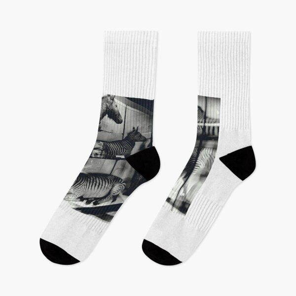 Item preview, Eight Zebras designed and sold by DelayTactics.