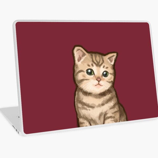 Bobo Kitteh Laptop Folie