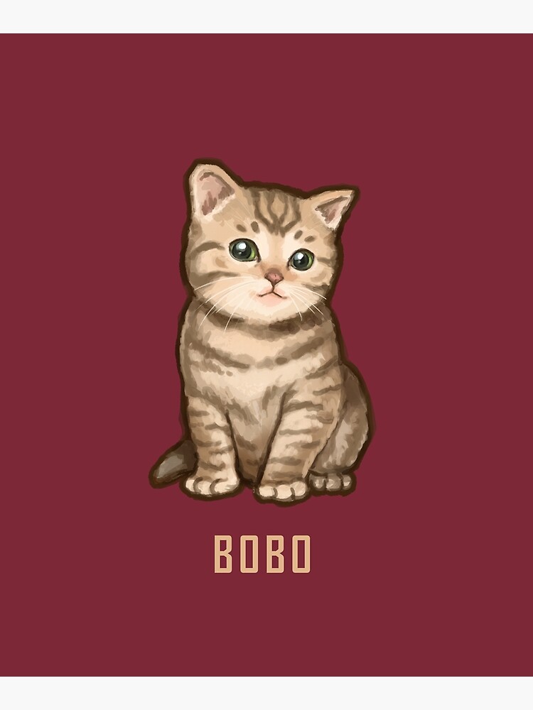 Bobo Kitteh von TheLongestWay