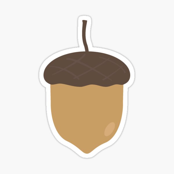 Acorn Sticker