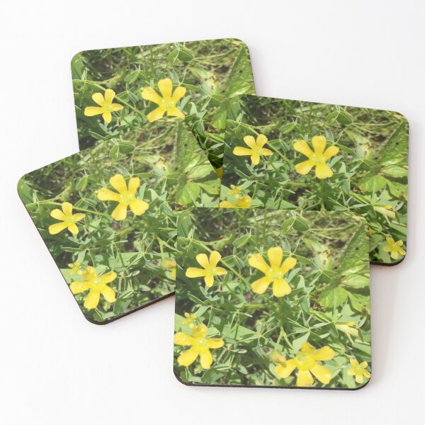 Item preview, Tiny Yellow Five Petaled Wildflowers   designed and sold by Amanda1775.