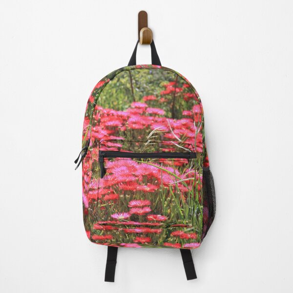 Item preview, Bright colorful flowers of chrysanthemum in Corsica designed and sold by EstelleRossetti.