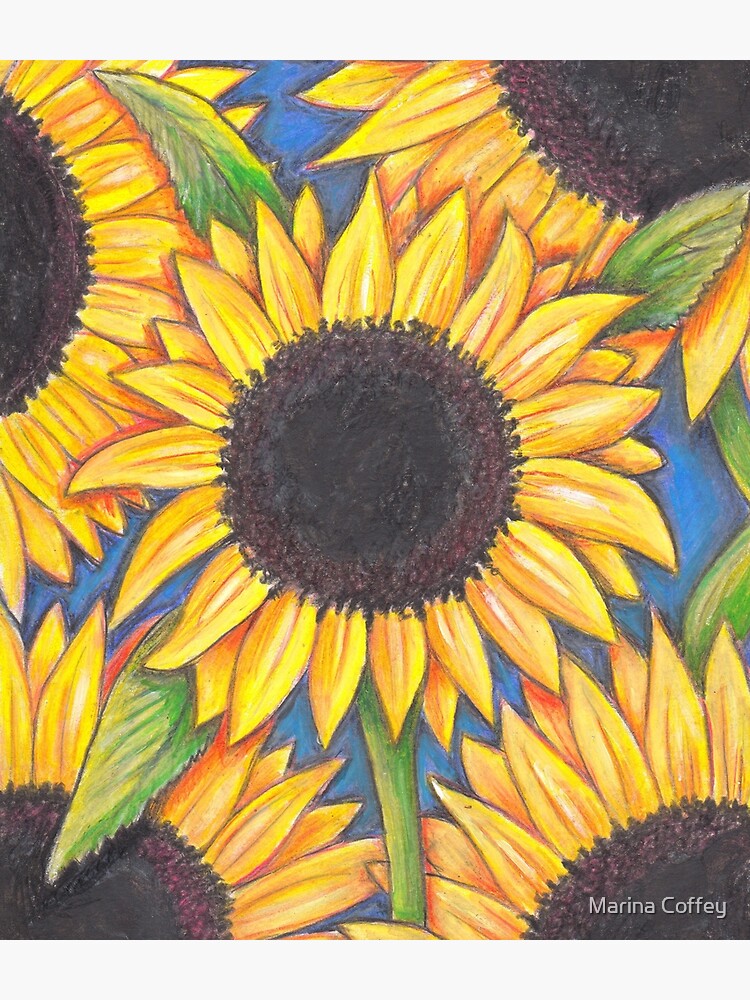 Sunflowers by MarinaC41