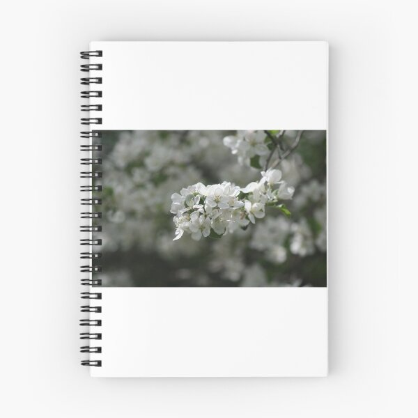 Item preview, Apple blossom 2020 designed and sold by RobynAIrving.
