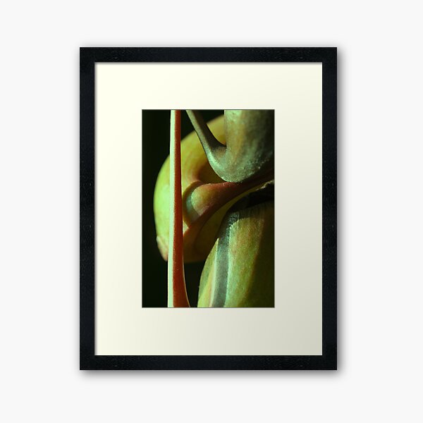 vegetal sensuality Framed Art Print