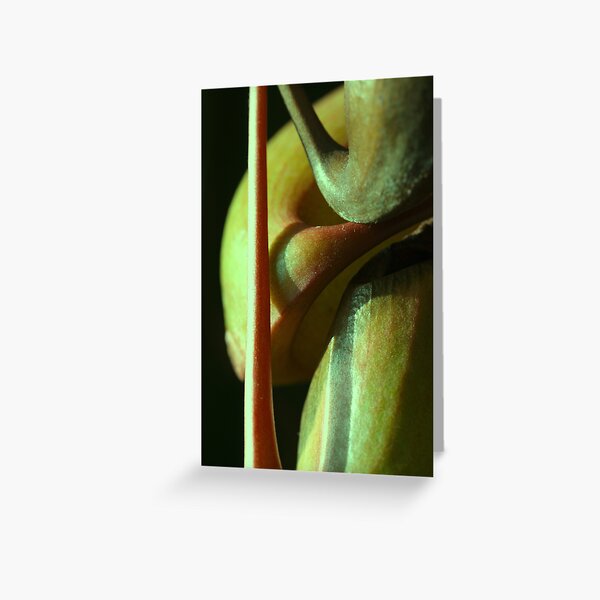 vegetal sensuality Greeting Card