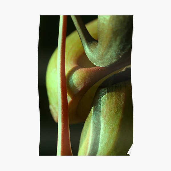 vegetal sensuality Poster
