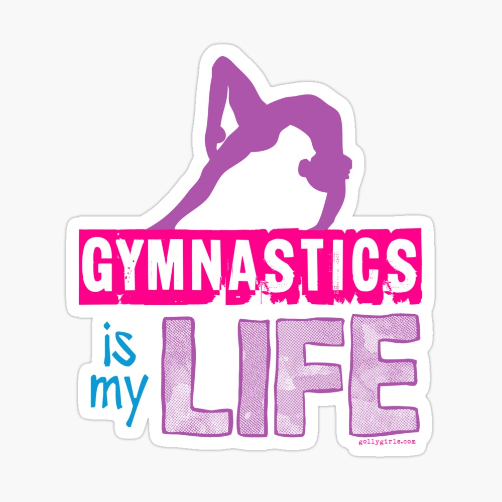 my life gymnastics outfit