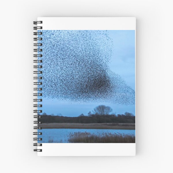Item preview, Starling Murmuration designed and sold by Richard Greenwood.