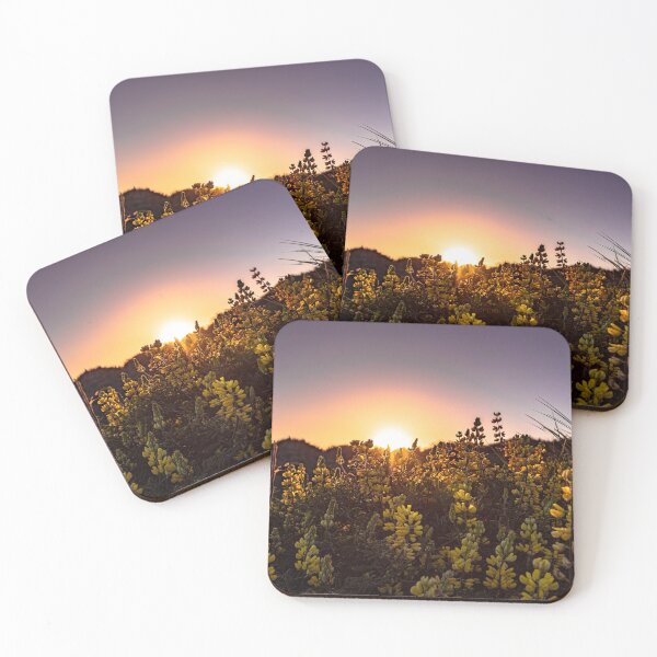 Item preview, Sunlight shining through lupine designed and sold by jillianbutolphphoto.
