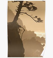 Deep Roots Poster