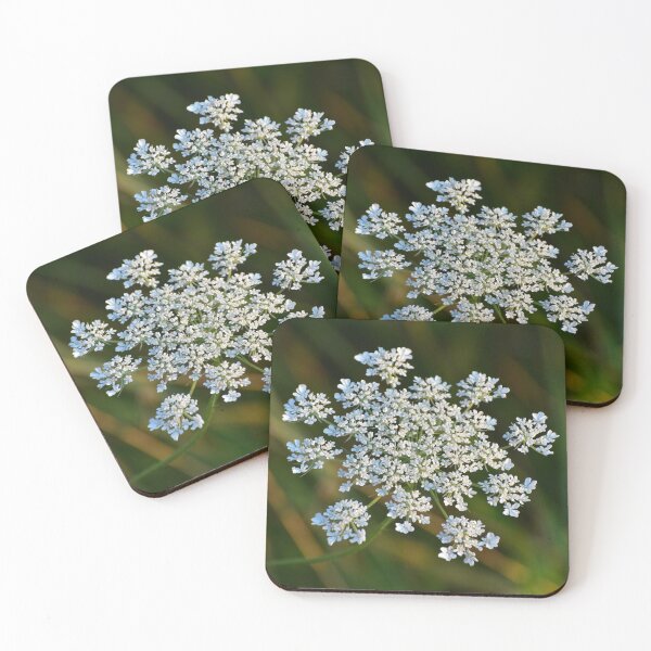 Item preview, Queen Anne's Lace designed and sold by ReneeKennedy.