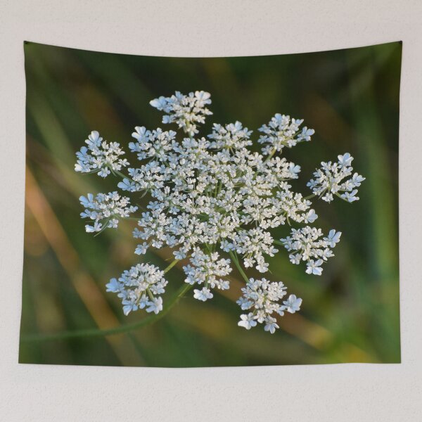 Item preview, Queen Anne's Lace designed and sold by ReneeKennedy.