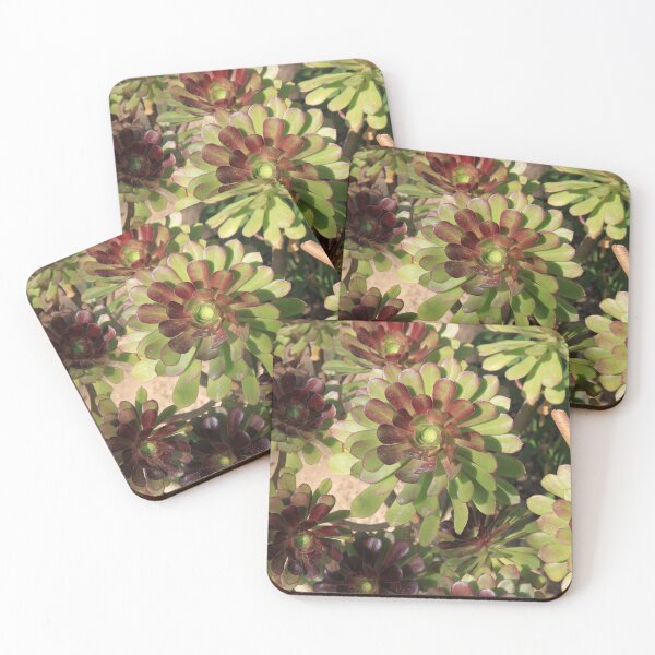 Item preview, Green succulents cabbage indoor plants	 designed and sold by EstelleRossetti.