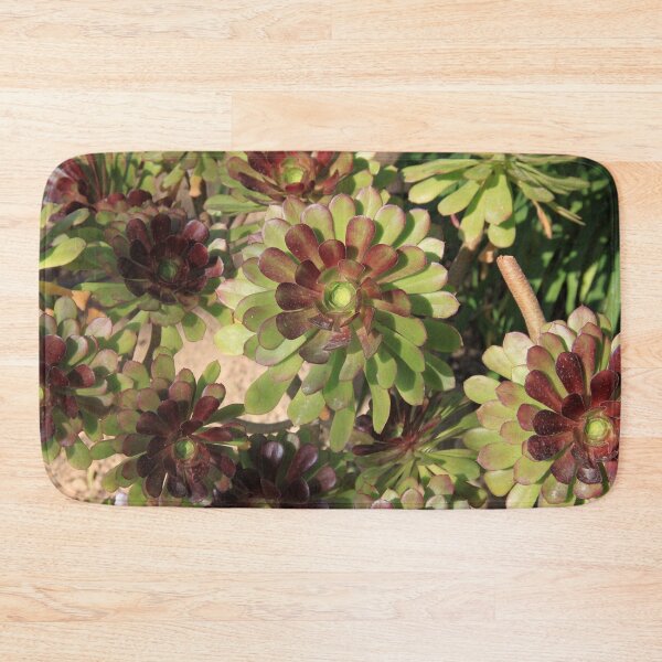 Item preview, Green succulents cabbage indoor plants	 designed and sold by EstelleRossetti.