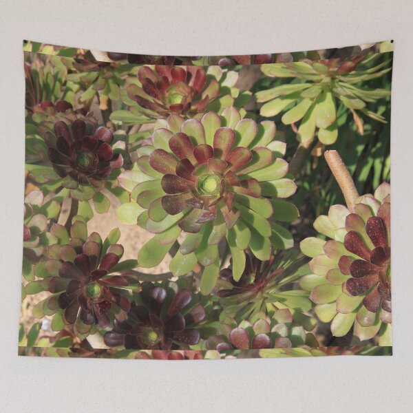 Item preview, Green succulents cabbage indoor plants	 designed and sold by EstelleRossetti.