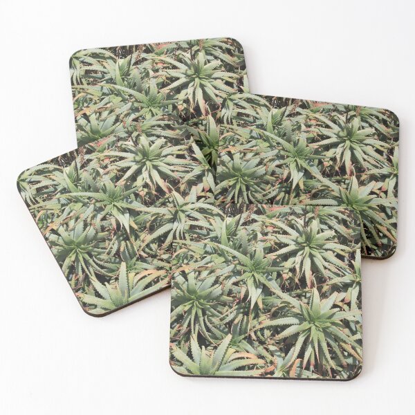 Item preview, Green succulent cabbage indoor plants designed and sold by EstelleRossetti.