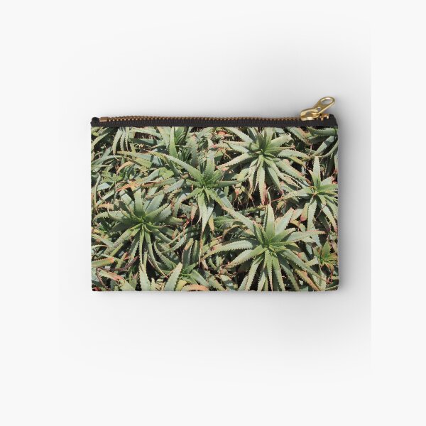 Item preview, Green succulent cabbage indoor plants designed and sold by EstelleRossetti.