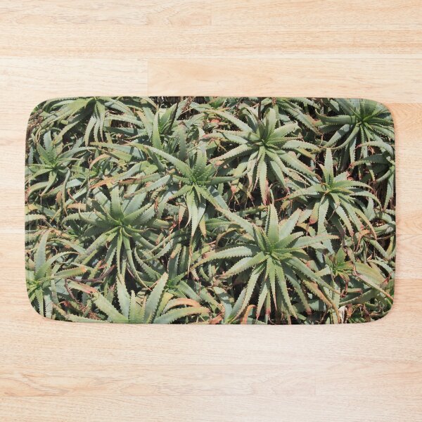 Item preview, Green succulent cabbage indoor plants designed and sold by EstelleRossetti.